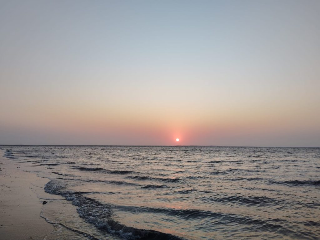 IMG-20250129-WA0002